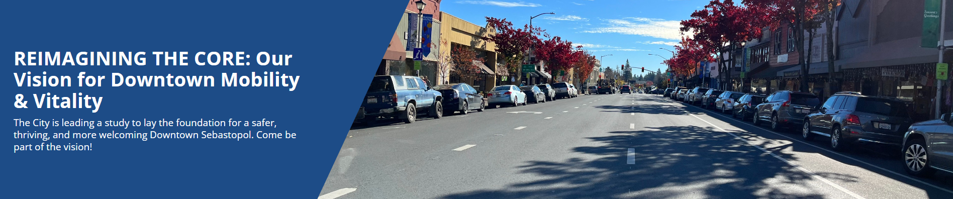 Sustainable Transportation Planning Grant Alternatives